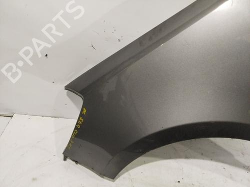 Left front fenders RENAULT CLIO III (BR0/1, CR0/1) | BP31091377C41