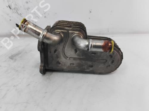 Egr CHRYSLER VOYAGER IV (RG, RS)  | BP30102378M69 