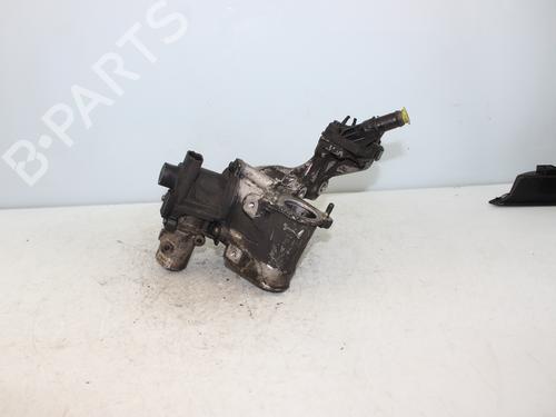 Egr RENAULT MEGANE III Hatchback (BZ0/1_, B3_) 1.5 dCi (BZ09, BZ0D, BZ1W, BZ29, BZ14) | BP17916889M69 