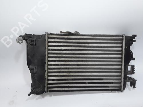 Intercooler RENAULT MEGANE IV Hatchback (B9A/M/N_) 1.2 TCe 100 (B9MS) | BP10345841M30 