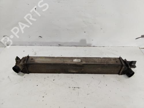 Intercooler FIAT DUCATO Van (250_) 130 Multijet 2,3 D (126 hp) 31914926