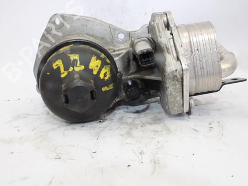 Used Oil radiator CITROËN C-CROSSER (VU_, VV_) 2.2 HDi (156 hp) 15407894