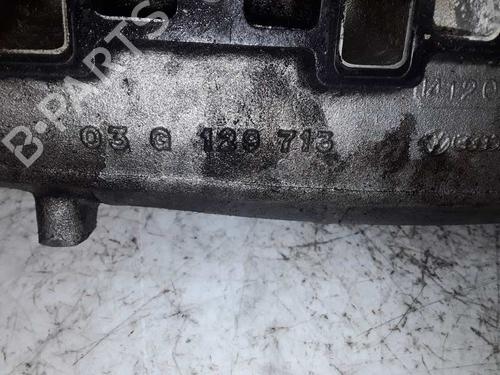 Intake manifold VW TRANSPORTER T5 Van (7HA, 7HH, 7EA, 7EH)  | BP10249107M70 
