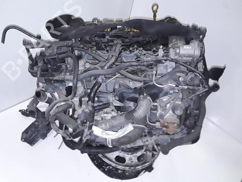 Motor FORD FIESTA IV (JA_, JB_) [1995-2006]  11737370