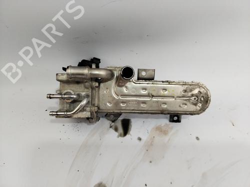 Egr VW PASSAT B6 (3C2)  | BP28103114M69