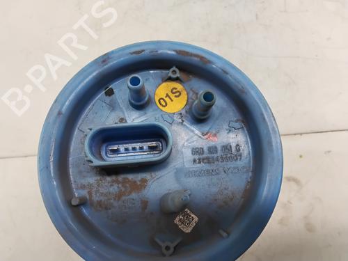 Fuel pump SEAT IBIZA IV (6J5, 6P1)  | BP28723916M76 