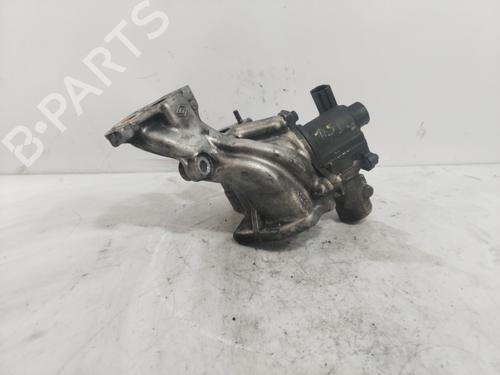 Egr RENAULT CLIO III (BR0/1, CR0/1)  | BP25467205M69 