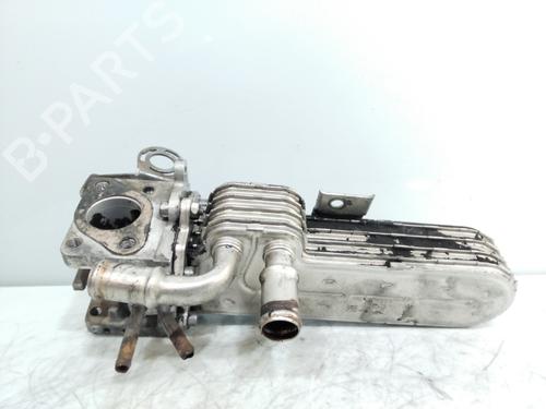 Used Egr SEAT ALTEA XL (5P5, 5P8) [2006-2015]  20113641