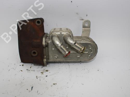 Egr CHRYSLER VOYAGER IV (RG, RS) 2.8 CRD | BP14056432M69