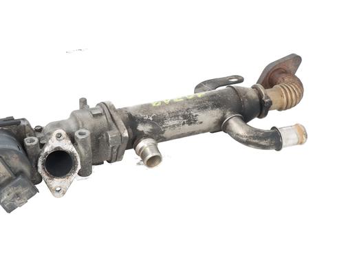 Egr FORD FOCUS C-MAX (DM2) | BP31987423M69