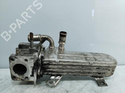 Egr SEAT ALTEA XL (5P5, 5P8)  | BP20113641M69 