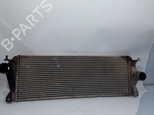 Intercooler LAND ROVER DISCOVERY II (L318) 2.5 Td5 4x4 (139 hp) 10048294