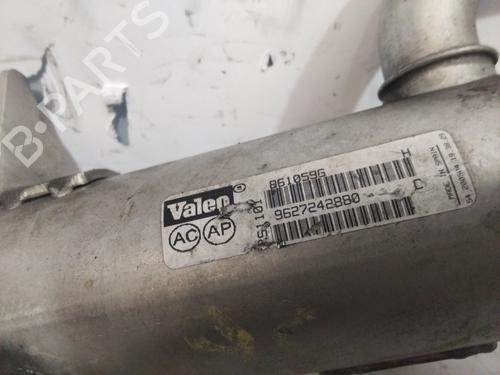 Egr CITROËN XSARA Coupe (N0) 2.0 HDi 109 | BP25906622M69