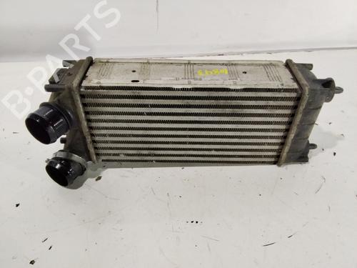 Intercooler PEUGEOT PARTNER Box Body/MPV 1.6 HDi 16V 4x4 | BP32009549M30