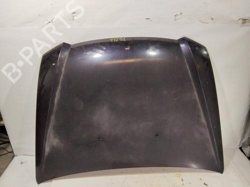 Used Hood Hood FIAT STILO (192_) 1.6 16V (192_XB1A) (103 hp) 33214677 33214677
