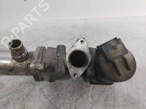 Egr CITROËN C4 Grand Picasso I (UA_)  | BP25453865M69 