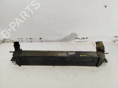 Intercooler RENAULT LAGUNA III (BT0/1) 2.0 dCi (BT01, BT08, BT09, BT0E, BT0K, BT12, BT1C, BT1D,... | BP31721168M30