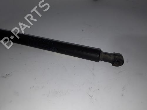Hood lift support BMW 1 (E87)  | BP14055591C139 