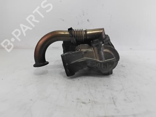 Egr RENAULT SCÉNIC II (JM0/1_) 1.9 dCi (JM0G, JM12, JM1G, JM2C) | BP29828122M69