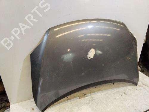 Hood VW GOLF PLUS V (5M1, 521)  | BP18019542C1 