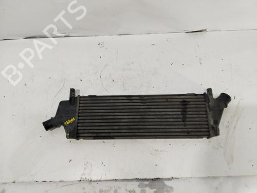 Ladeluftkühler für NISSAN MICRA III (K12) 1.5 dCi (86 hp) 30926833