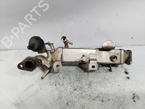 Egr BMW 3 (E90) 318 d | BP25709975M69 