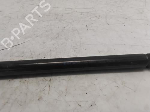 Hood lift support VW GOLF V (1K1)  | BP29565605C139 
