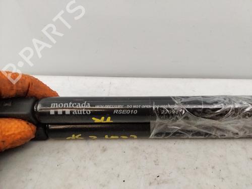 Tailgate lift support SEAT LEON (1P1)  | BP23268749C138 