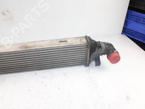 Intercooler MERCEDES-BENZ E-CLASS (W212) E 350 CDI (212.023) | BP16886173M30 