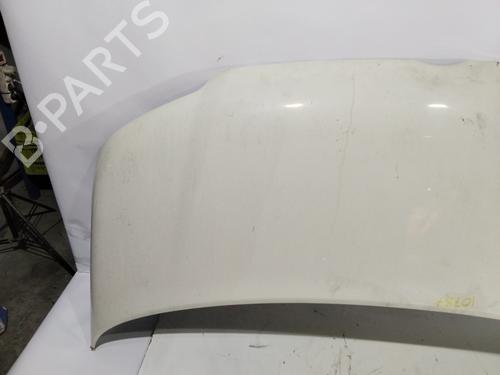 Hood VW TRANSPORTER T5 Bus (7HB, 7HJ, 7EB, 7EJ)  | BP31700667C1 