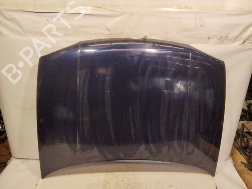 Hood VW GOLF IV (1J1)  | BP26040123C1 