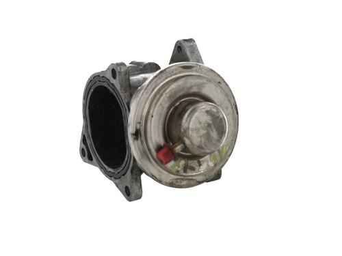 Egr VW PASSAT B6 (3C2)  | BP30411794M69 