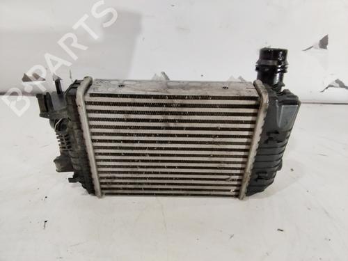 Ladeluftkühler für RENAULT ARKANA I (LCM_, LDN_) [2019-2026]  32387551