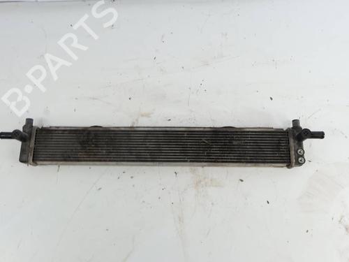 Wasserkühler für Wasserkühler LEXUS CT (ZWA10_) [2010-2026] 39882181 39882181