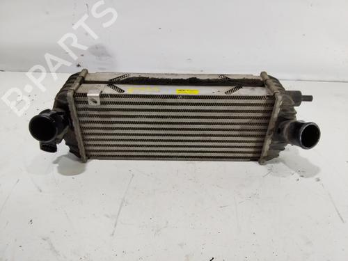 Intercooler KIA SPORTAGE III (SL) [2009-2017]  31608924