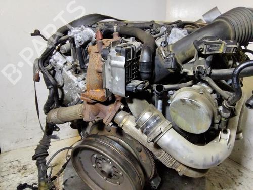 Engine AUDI A5 (8T3)  | BP36864283M1  - Image 20