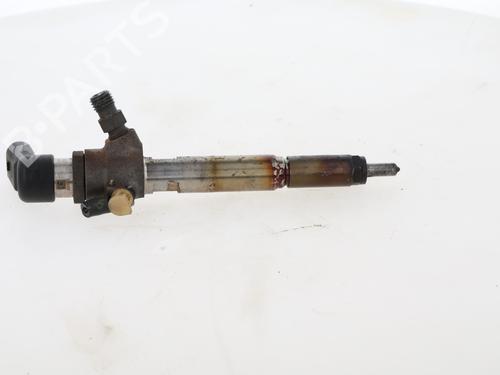 Injector RENAULT SCÉNIC II (JM0/1_)  | BP29616905M100