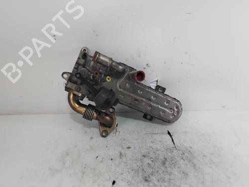 Egr VW PASSAT B6 (3C2)  | BP29831031M69