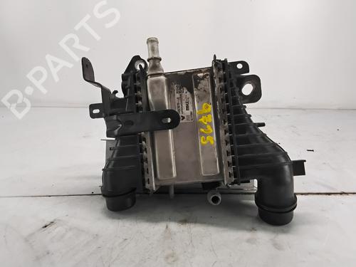 Used Intercooler RENAULT MEGANE IV Hatchback (B9A/M/N_) 1.5 Blue dCi 95 (B9A2, B9A6) (95 hp) 28584443