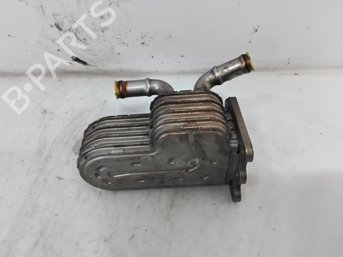 Egr CHRYSLER VOYAGER IV (RG, RS)  | BP30102378M69 