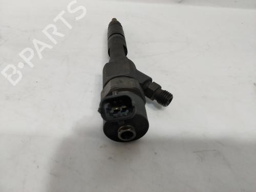 Injector RENAULT MEGANE II (BM0/1_, CM0/1_)  | BP29998378M100