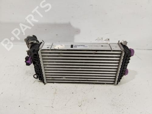 Intercooler Intercooler OPEL CORSA F (P2JO) [2019-2026] 33686919 33686919