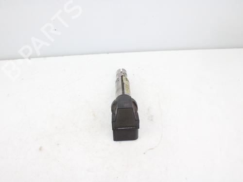 Bobine D'allumage SEAT IBIZA III (6L1) [2002-2009]  16117699