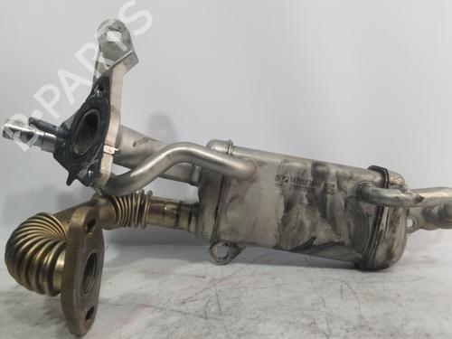 Used Egr RENAULT KANGOO / GRAND KANGOO II (KW0/1_) [2008-2025]  26294245