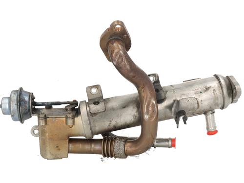 EGR-Ventil SEAT EXEO (3R2)  | BP31709108M69 