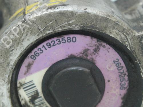 Steering pump CITROËN XSARA (N1) 1.9 TD | BP16196598M99 