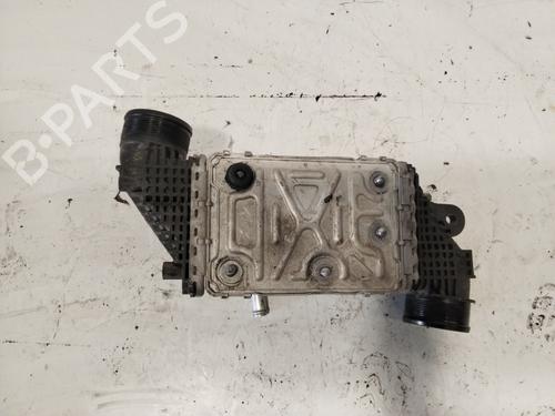 Water radiator VW TRANSPORTER T6 / CARAVELLE T6 Bus (SGB, SGJ, SHB, SHJ)  | BP21806893M31 