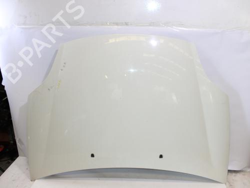Used Hood FIAT BRAVO II (198_) 1.6 D Multijet (198AXH1B) (105 hp) 18891535