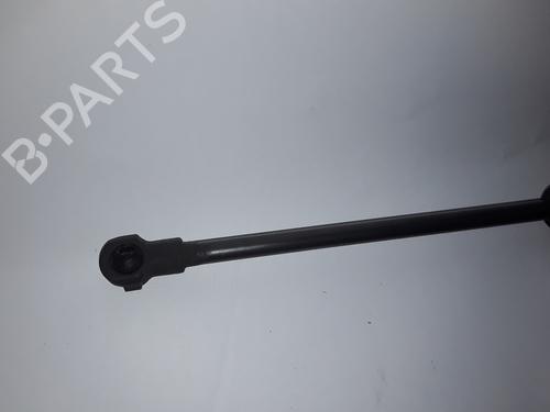 Hood lift support BMW 1 (E87)  | BP14055591C139 