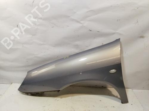 Left front fenders CITROËN XSARA (N1) 2.0 HDi 90 | BP29440711C41 